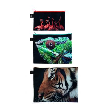 Zip Pockets National Geographic - Tiger, Chameleon, Flamingos