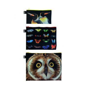 Zip Pockets National Geographic - Owl, Butterflies, Penguins