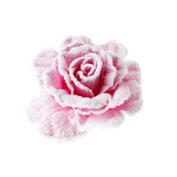 Cosy @ Home Rose Sur Clip Rose Pastel Enneige D10cm