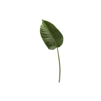 Cosy @ Home Feuille Magnolia Vert 102cm Plastic