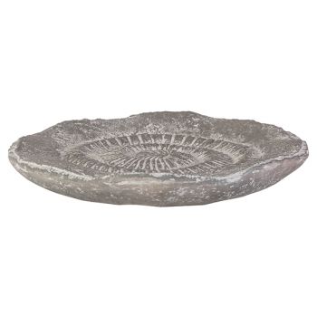 Cosy @ Home Coquille De Mer Fossil  Gris 31x31xh4cm