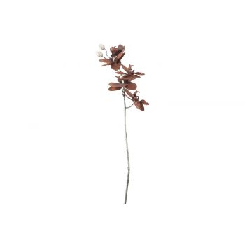 Cosy @ Home Branche Phalaenopsis Brun 12x7xh66cm Pla