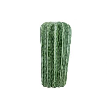 Cosy @ Home Cactus Glazing Vert 33x33xh33cm Rond Gre