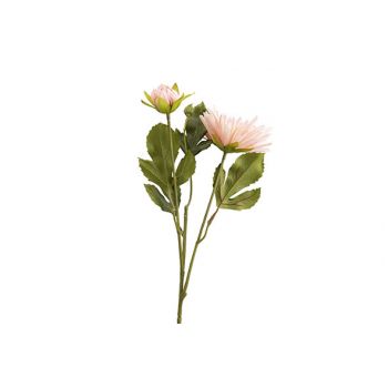 Cosy @ Home Branche Ranunculus Rose 13x13xh43cm Plas