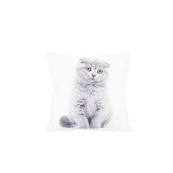 Cosy @ Home Coussin Cat Gris 40x40xh10cm Polyester